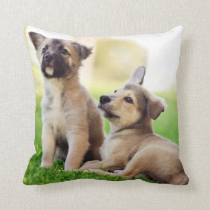 Two German Shepherd Puppies Throw Pillow