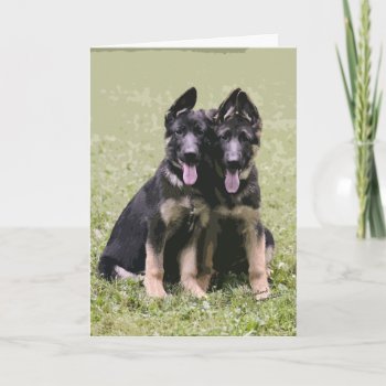 Two German Shepherd Pups Card by woodlandesigns at Zazzle