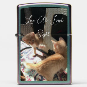 two ginger cats photo , humor text,  zippo lighter