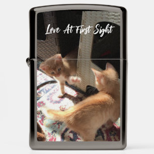 two ginger cats photo , humor text,  zippo lighter