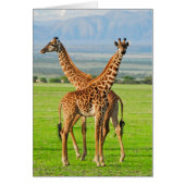 Two Giraffes (Front)