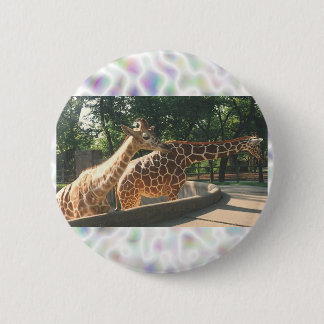 Two Giraffes Buttons