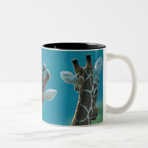 Two Giraffes (Giraffa camelopardalis) Two-Tone Coffee Mug