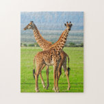 Two Giraffes Jigsaw Puzzle<br><div class="desc">Two masai giraffes in Serengeti national park © and ® Bigstock® - All Rights Reserved.</div>