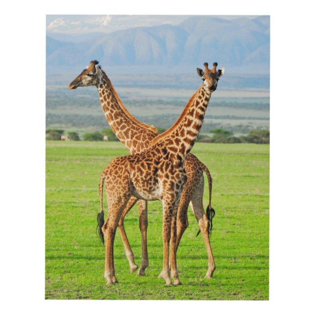 Two Giraffes Panel Wall Art (Front)