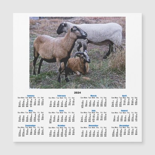 Two Goats and a Sheep 2024 Calendar Card