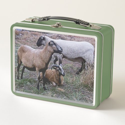 Two Goats and a Sheep Metal Lunch Box