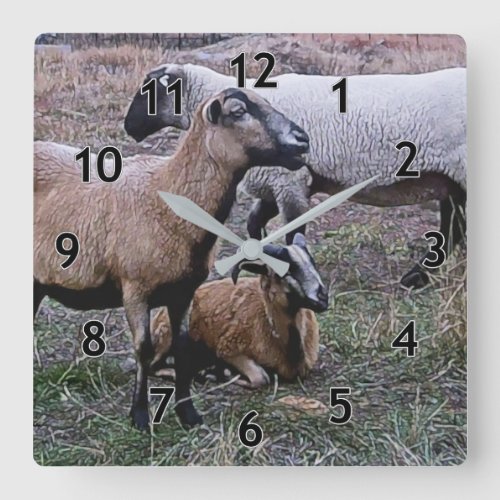 Two Goats and a Sheep Square Wall Clock