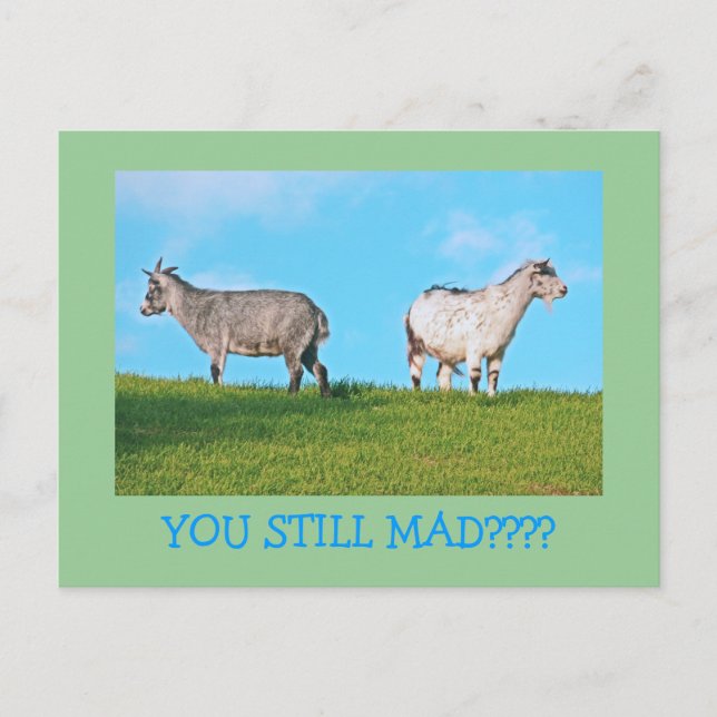 TWO GOATS, BACKS TO EACH OTHER: "YOU STILL MAD?" POSTCARD (Front)