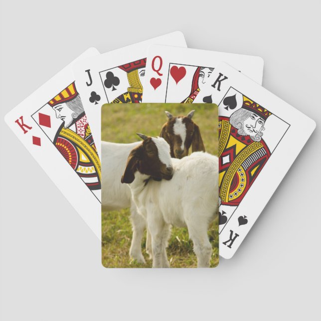 Two Goats Boer Poker Cards (Back)