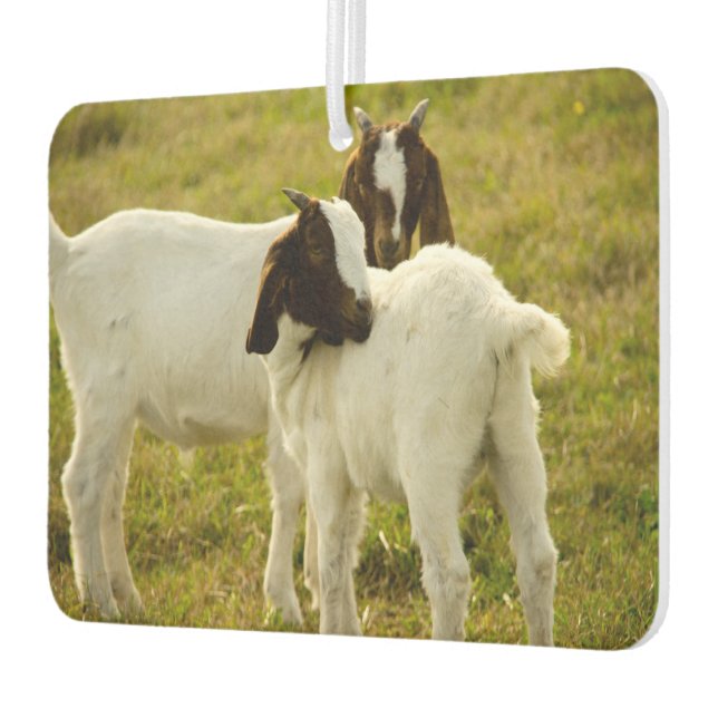 Two Goats Car Air Freshener (Left)
