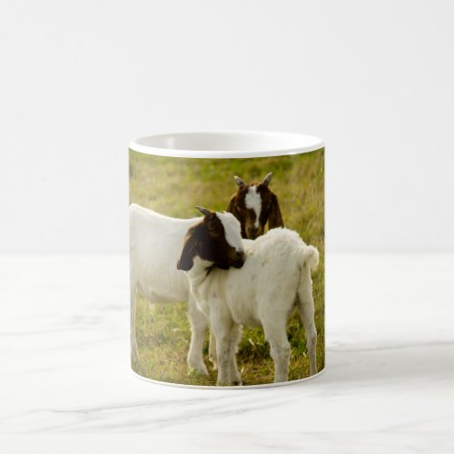 Two Goats Coffee Mug