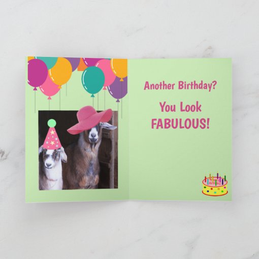 Two Goats Funny Birthday Card Zazzle