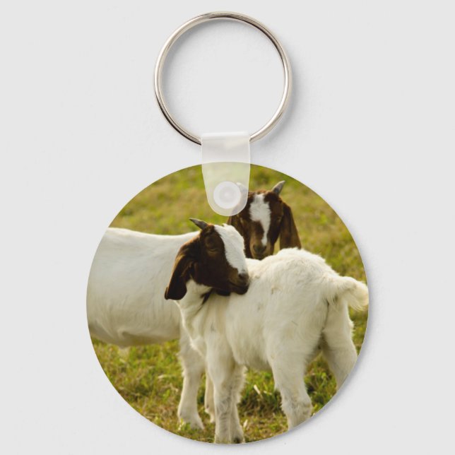 Two Goats in a Grassy Field Keychain (Front)
