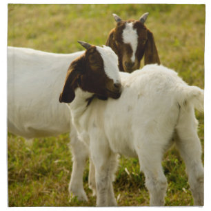 Two Goats Napkin