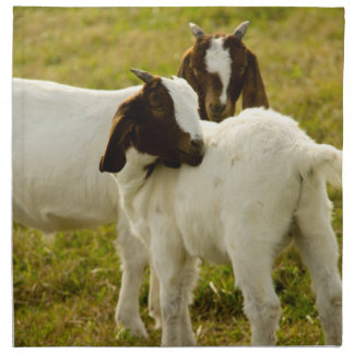 Two Goats Napkin