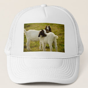 Two Goats Snuggle Cute Trucker Hat