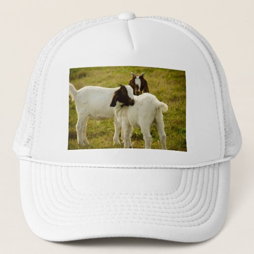 Two Goats Snuggle Cute Trucker Hat