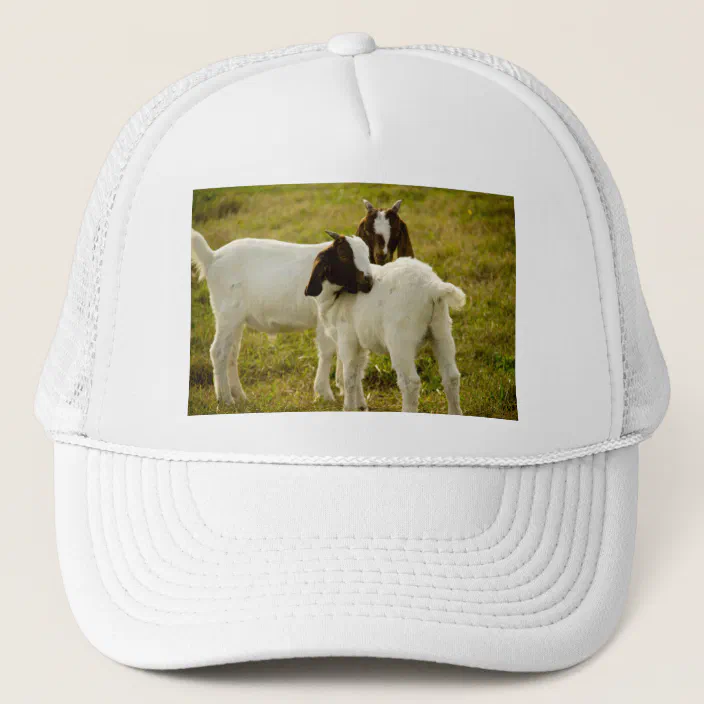 Two Goats Snuggle Cute Trucker Hat Zazzle Com