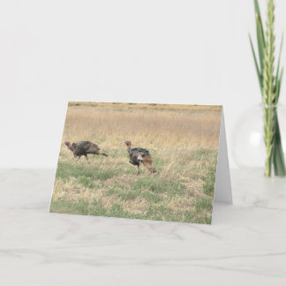 Two Gobblers Holiday Card
