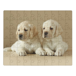 Two Golden Labrador Puppies Jigsaw Puzzle
