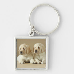 Two Golden Labrador Puppies Keychain