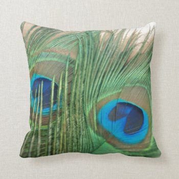 Two Golden Peacock Feathers Still Life Throw Pillow by Peacocks at Zazzle