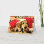 Two Golden Retriever Dogs in Santa Hats Christmas Holiday Card