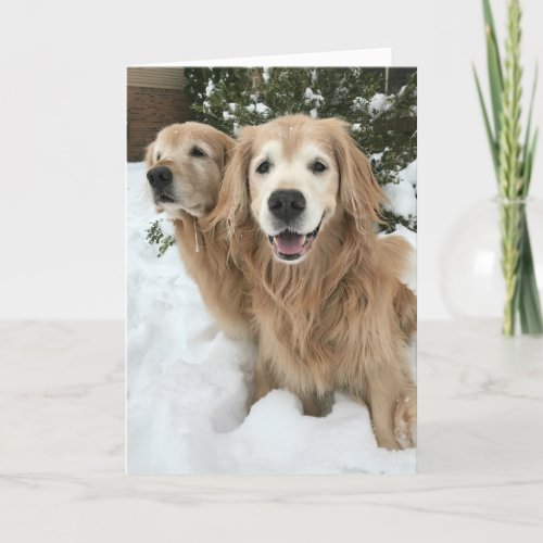 Two Golden Retriever Dogs in the Snow Happy Winter Card