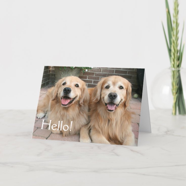 Two Golden Retriever Dogs Outside Thinking of You Card | Zazzle