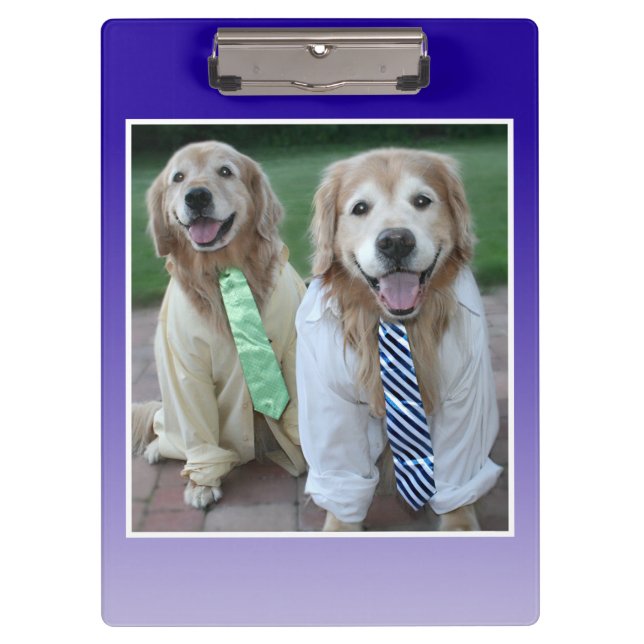 Two Golden Retrievers in Shirts and Ties Clipboard (Front)