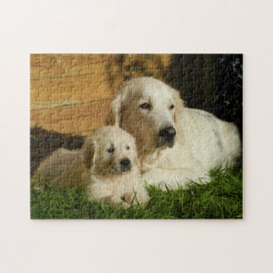 Two Golden Retrievers - Mom & Puppy - Love Jigsaw Puzzle