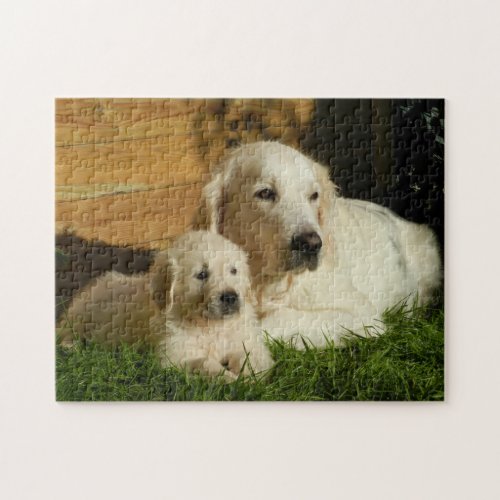 Two Golden Retrievers _ Mom  Puppy _ Love Jigsaw Puzzle