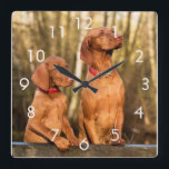 Two Golden Rust Vizsla Dogs Wall Clock<br><div class="desc">Two golden / rust colored Vizsla dogs wall clock</div>