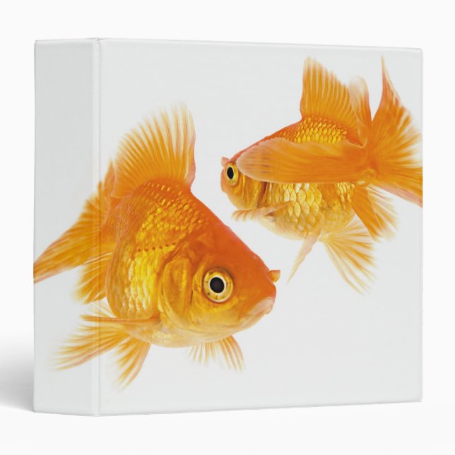 Two Goldfish Crossing Each Other 3 Ring Binder (Front/Spine)