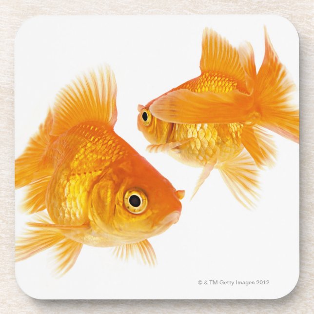 Two Goldfish Crossing Each Other Drink Coaster (Front)