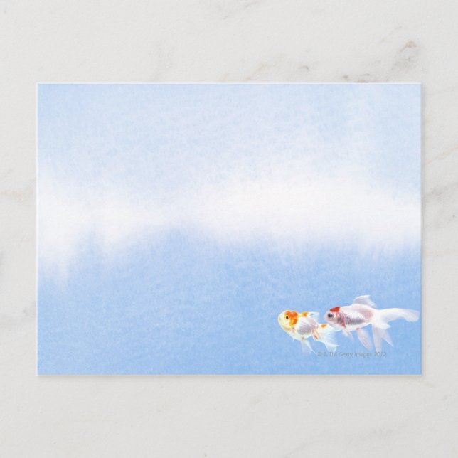 Two Goldfish Postcard (Front)