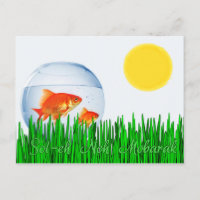 Two Goldfish Sun Spring Equinox Tall Grass