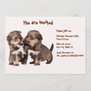 Two Graceful Yorkshire Puppies Invitation