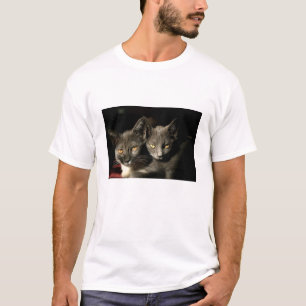 Two Gray Cats Men's Basic T-Shirt