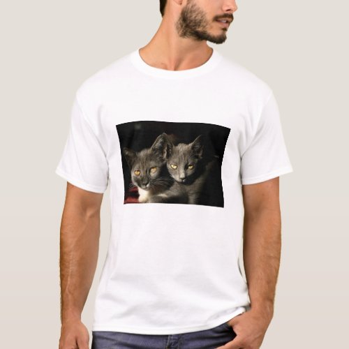 Two Gray Cats Mens Basic T_Shirt