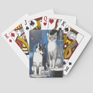 Two Gray Cats on an Abstract Background Poker Cards