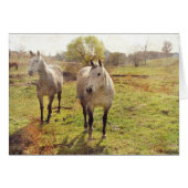 Two Grays (Front Horizontal)