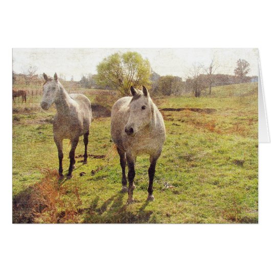 Two Grays Cards (Front Horizontal)