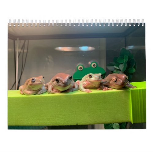 Two Green Frogs 2023 Calendar