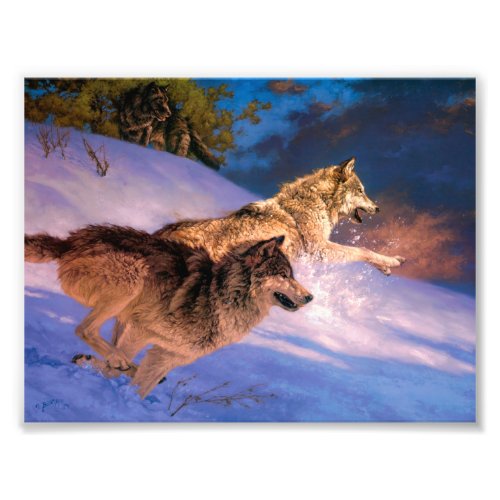 Two grey wolf in winter nature photo print