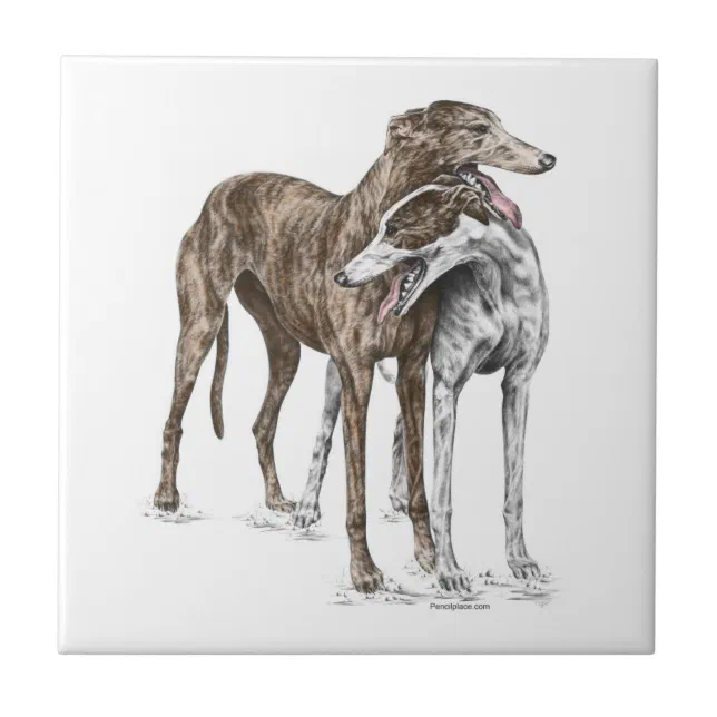 Two Greyhound Friends Dog Art Tile Zazzle