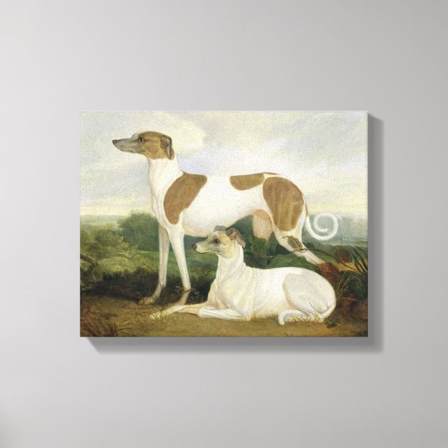 Two Greyhounds in a Landscape (oil on canvas) Canvas Print (Front)