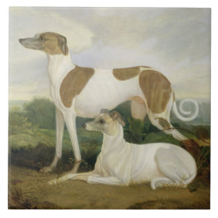 Two Greyhounds in a Landscape (oil on canvas) Ceramic Tile