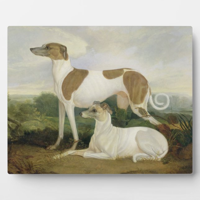 Two Greyhounds in a Landscape (oil on canvas) Plaque (Front)